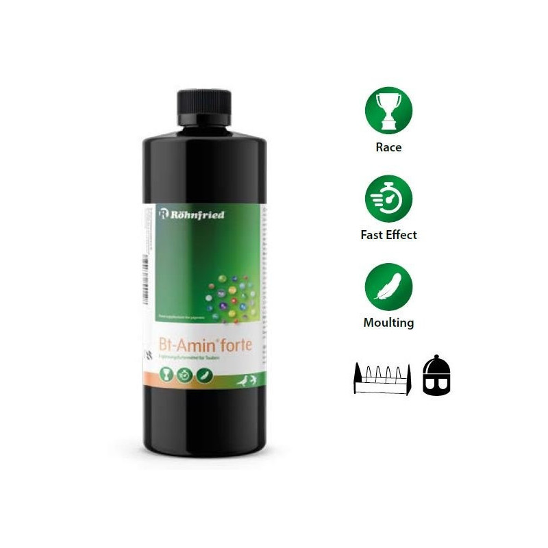Rohnfried Bt-Amin Forte 1L - Recovery
