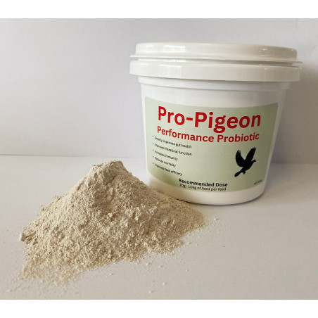Pro-Pigeon Performance Probiotic | Pigeon Vitality Australia