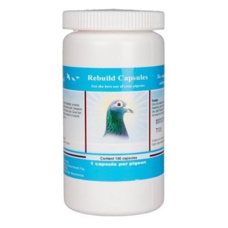 Rebuild Capsules - Australia | Natural Pigeon Products | Racing Pigeon Health | Natural Bird Products