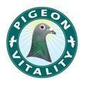 Pigeon Vitality